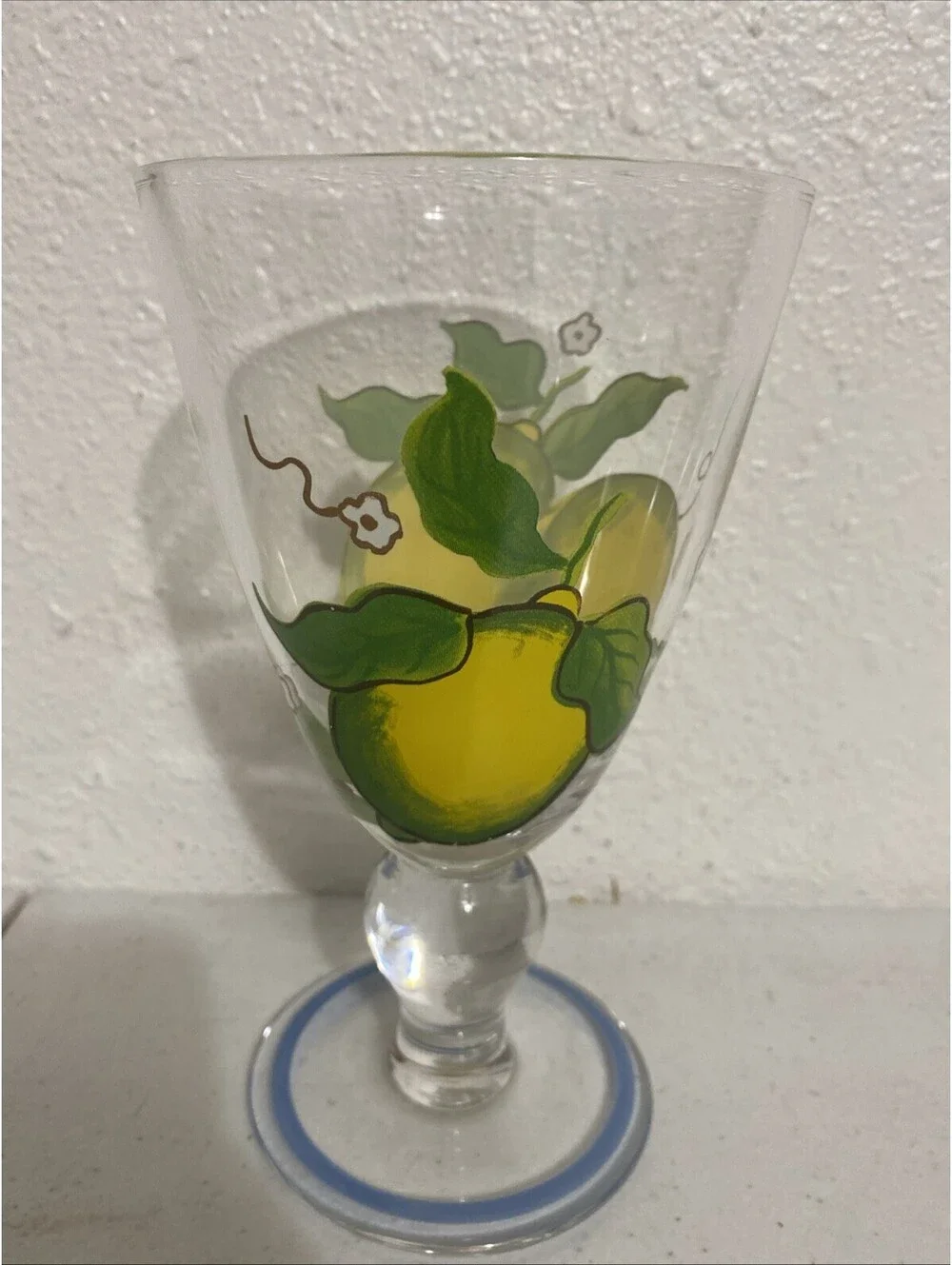 Glass Hand Painted Fruit  Water Juice Pitcher Glasses Fall Summer Colorful Clear